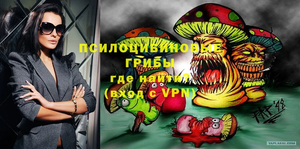 ГАЛЛЮЦИНОГЕННЫЕ ГРИБЫ Беломорск