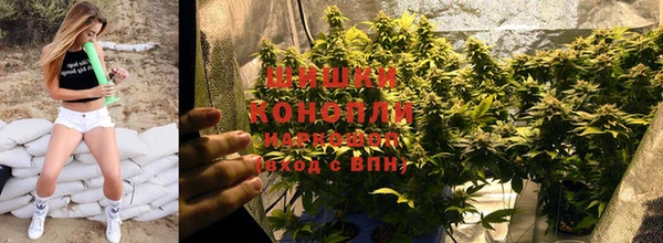 ГАЛЛЮЦИНОГЕННЫЕ ГРИБЫ Беломорск