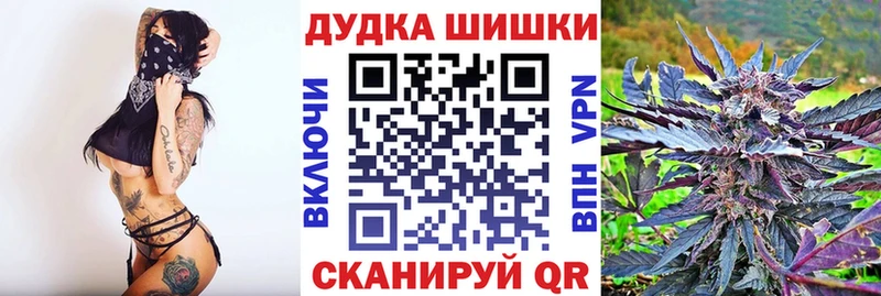 omg зеркало  Славск  Шишки марихуана сатива 